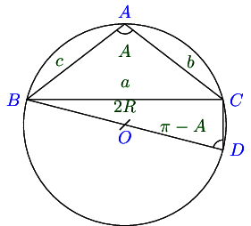 obtuse angle sine law